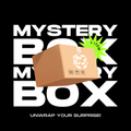 MYSTERY BOX - ALL ITEMS with a surprise box and text announcing to unwrap your surprise.