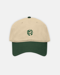 Earth Tone Baseball Cap
