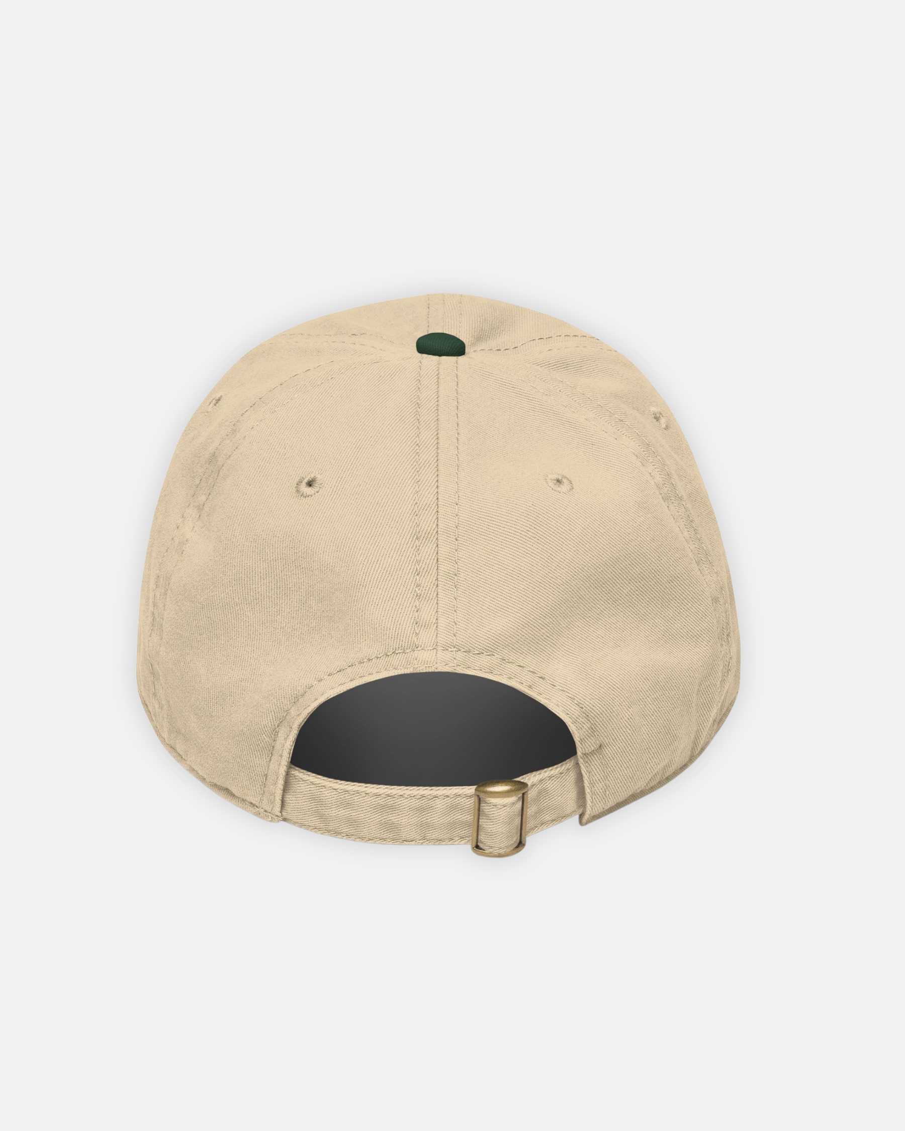 Earth Tone Baseball Cap