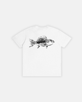 Pure Cotton Unisex T-Shirt